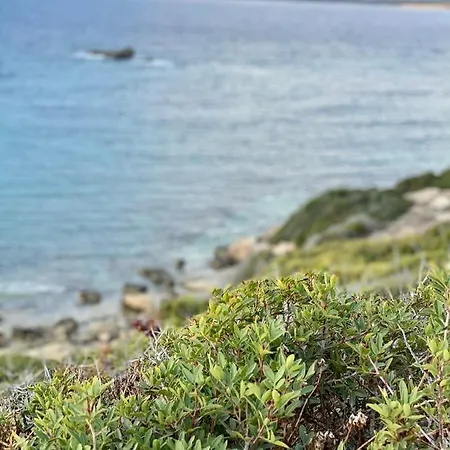 Coral Bay Sun Vida Peyia