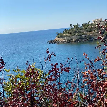 Coral Bay Sun Vida Peyia